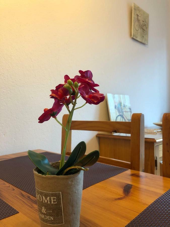 Apartaments S'Arenella Кадакес Екстер'єр фото